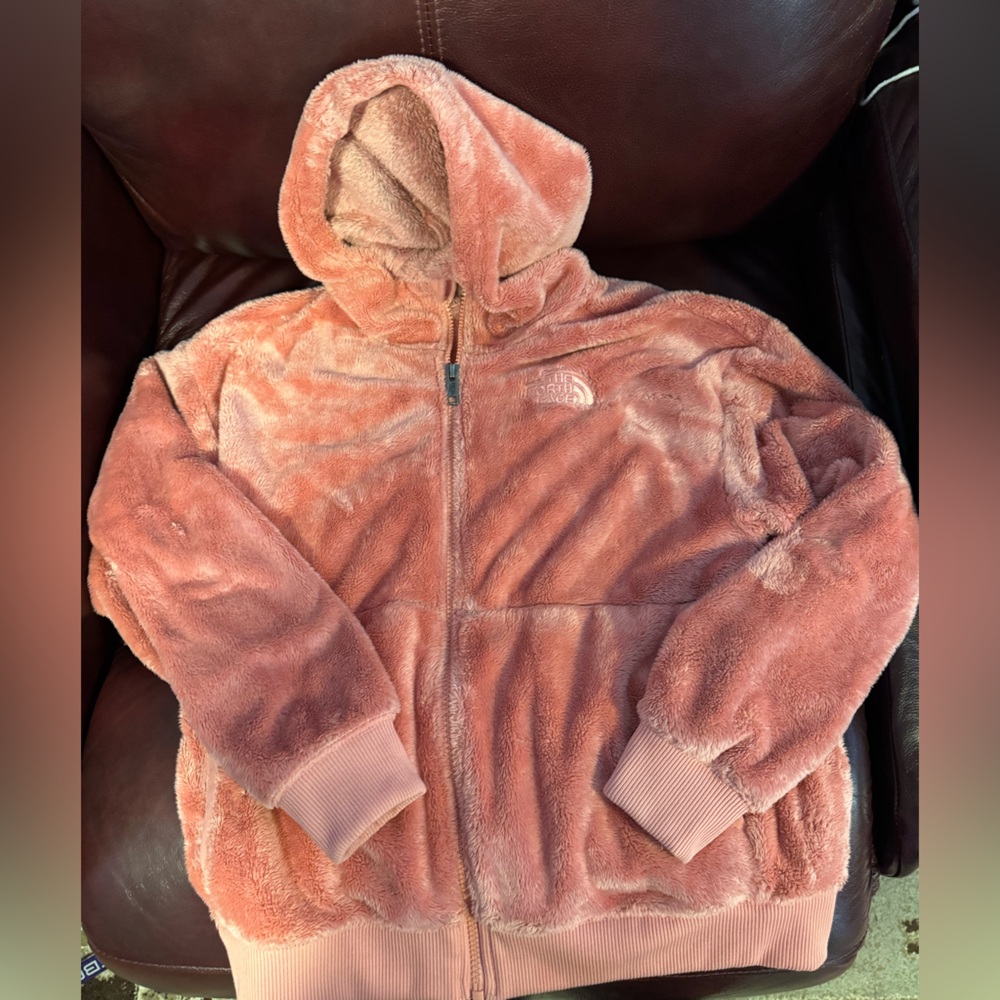 North Face Osito Fleece Hoodie